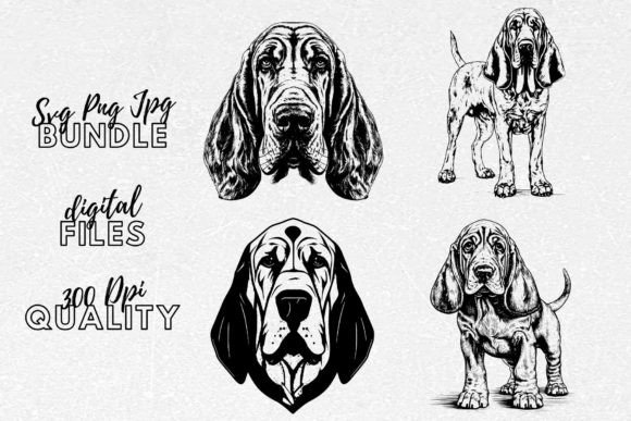 Bloodhound SVG - Dog Clipart