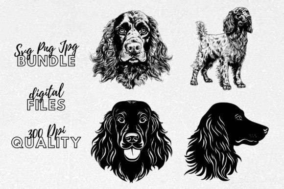 Boykin Spaniel SVG - Dog Clipart
