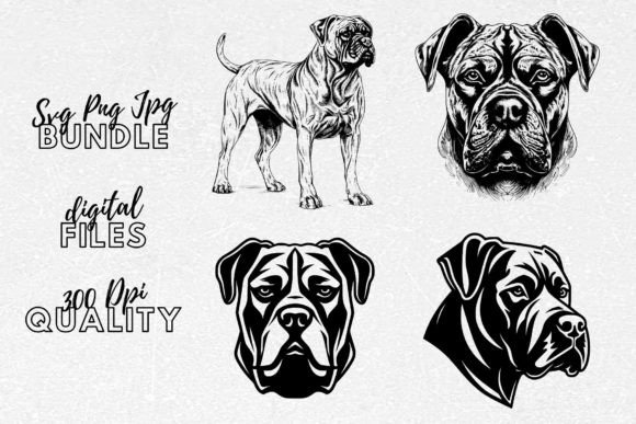 Cane Corso SVG - Dog Breed Clipart