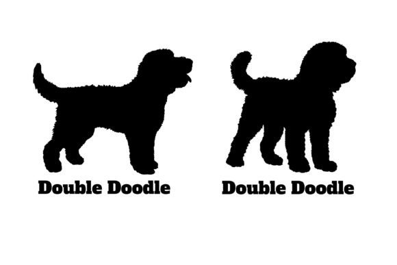 Double Doodle Dog Silhouette SVG Vector