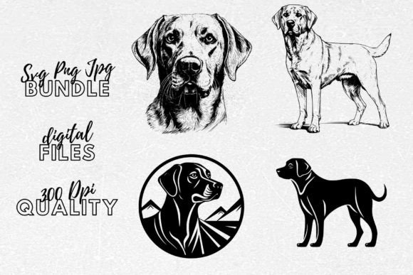 Labrador Retriever SVG - Dog Clipart