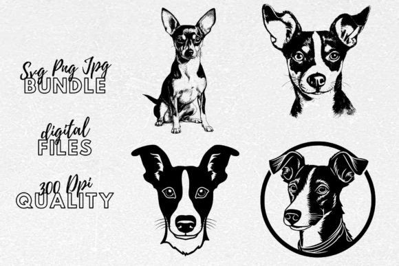 Rat Terrier SVG - Dog Breed Clipart