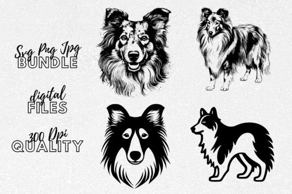 Shetland Sheepdog SVG - Dog Clipart